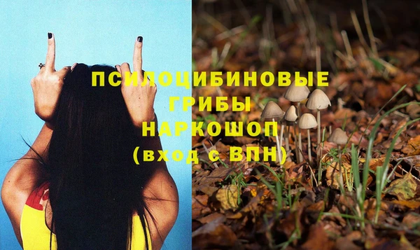 эйфоретик Елизово