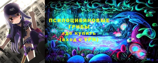 эйфоретик Елизово