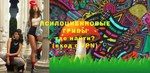 соль ск Елабуга