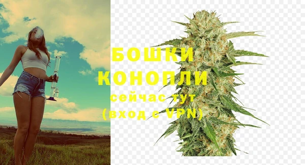 эйфоретик Елизово