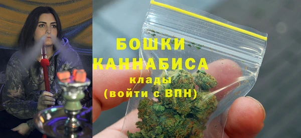 соль ск Елабуга