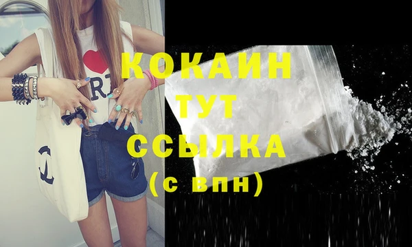 соль ск Елабуга