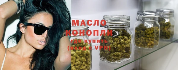 соль ск Елабуга