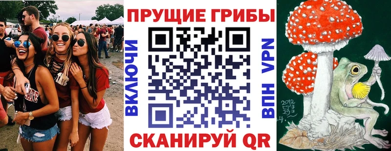 Псилоцибиновые грибы ЛСД  что такое   Керчь 